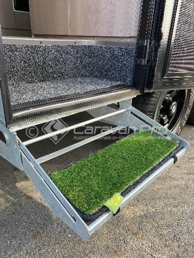 HOWS THE SERENITY - GREEN