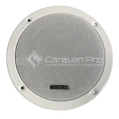 FUSION 5.25' INTERNAL DUAL CONE 100W SPEAKERS